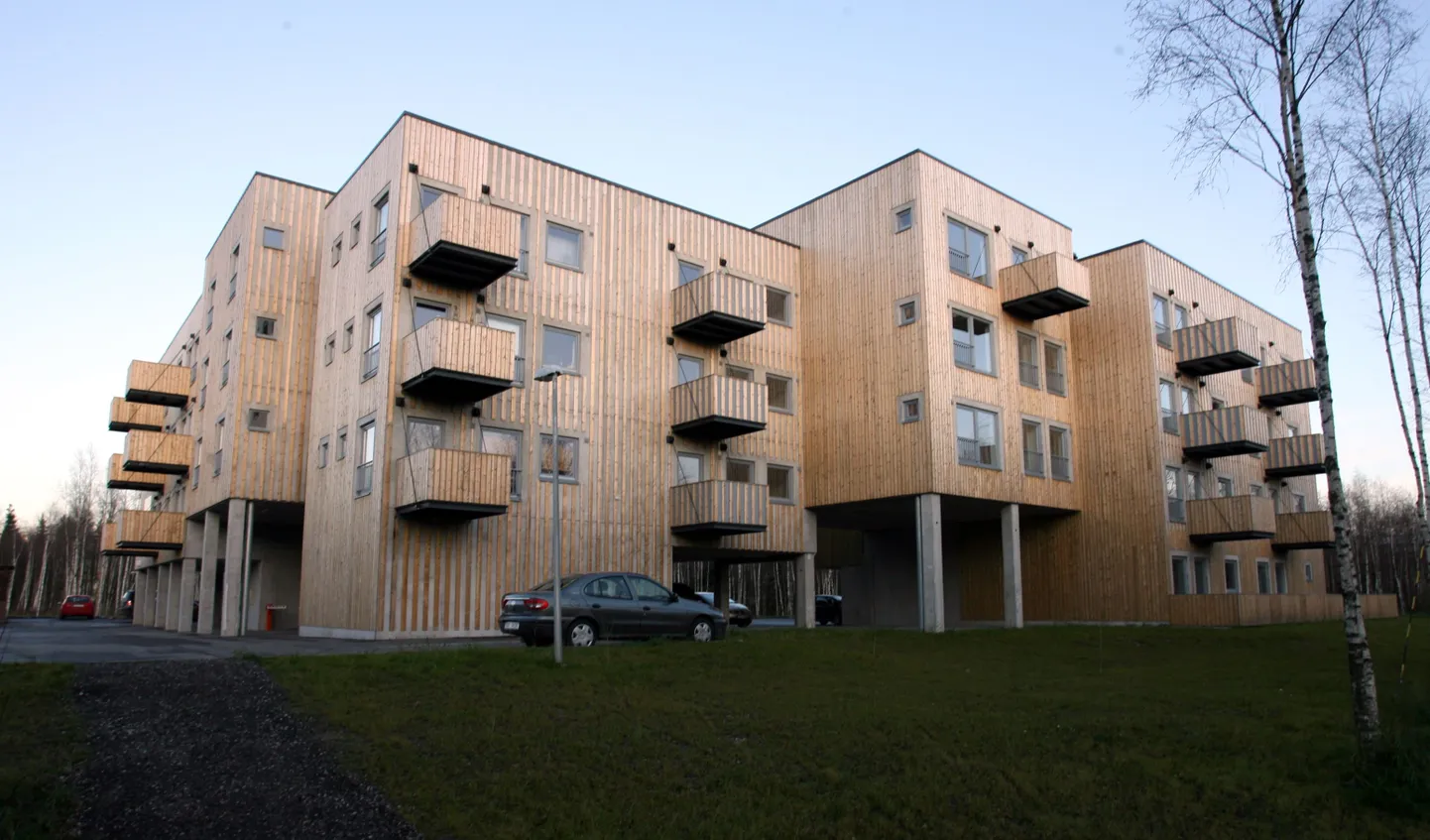 Peetri küla.