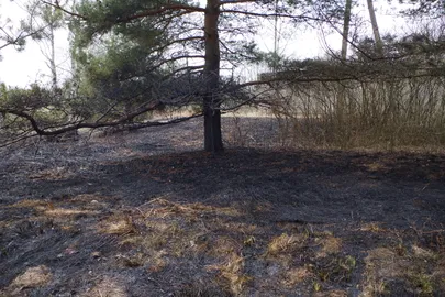 Mänd sai tules kõrvetada.