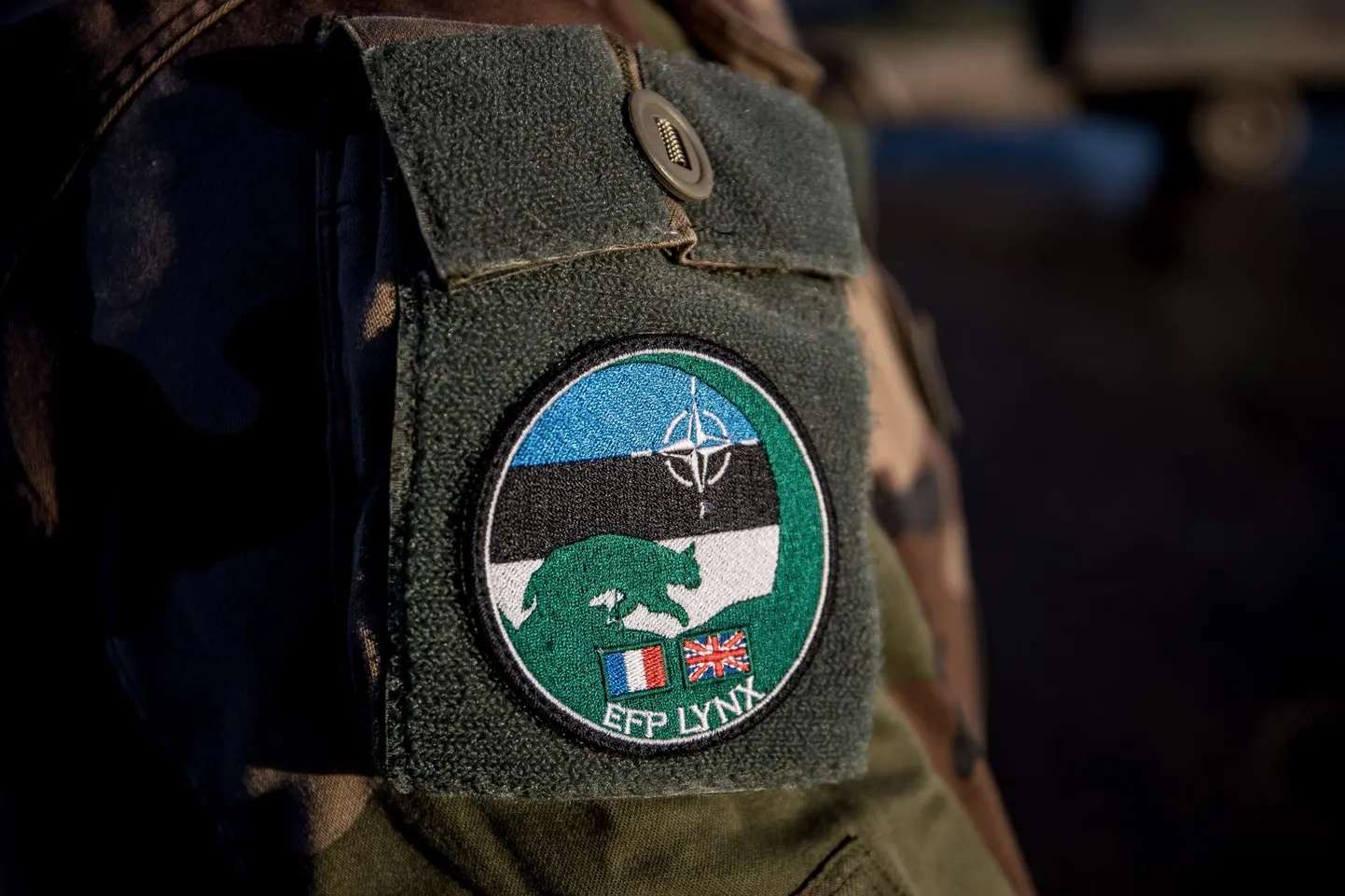 Prantsuse sõdurid Tapal 2020. aastal. Embleem Lynx.