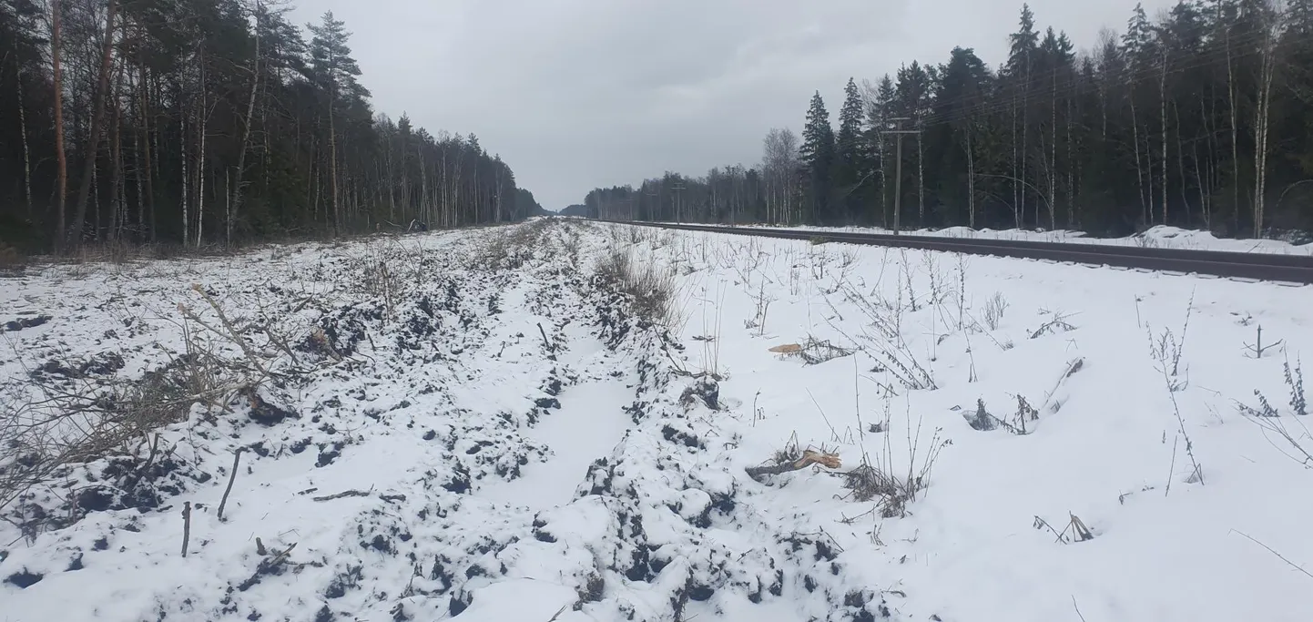 Kuni 70 sentimeetrit sügavad metsaväljaveo rööpad Nursipalu harjutusvälja kõrvalt läbi jooksva raudtee ääres.