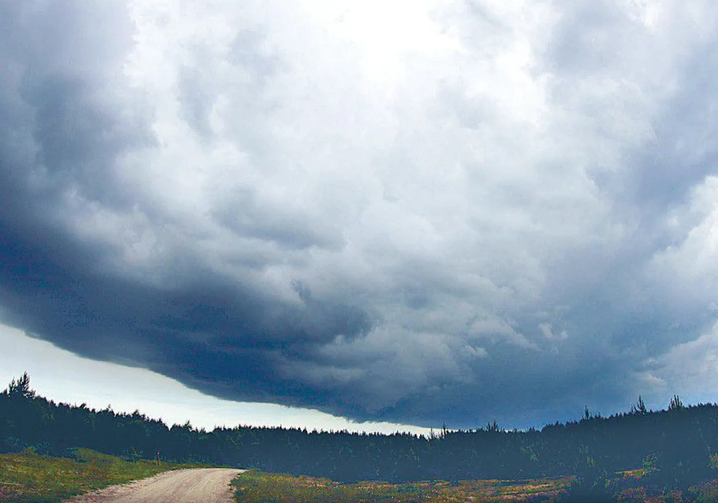 Foto on illustreeriv.