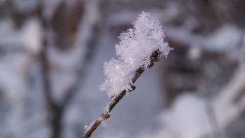 Millal on oodata miinuskraade ja lörtsi? Sünoptik annab vastuse