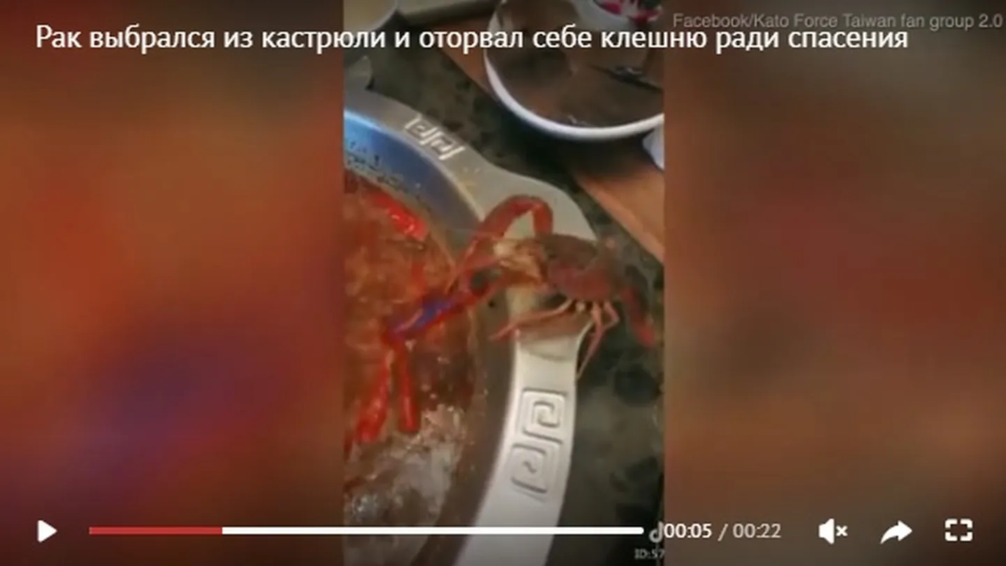 Фото статьи