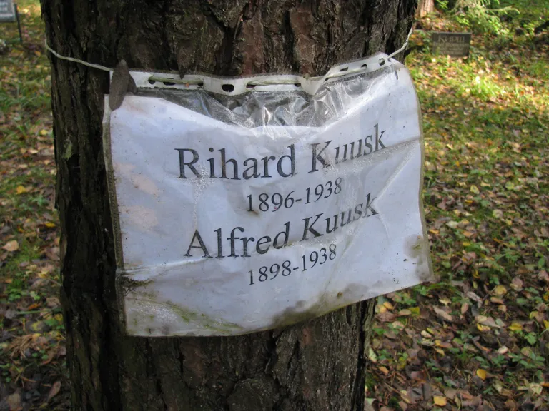Kuna täpseid matmiskohti pole võimalik kindlaks teha, riputati hukkunute pildid ja mälestuskirjad lihtsalt puutüvedele.