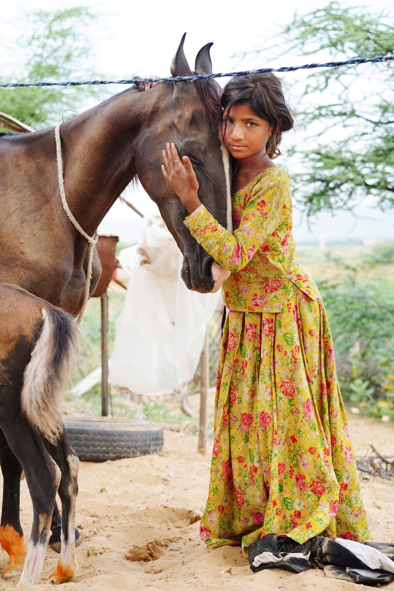 Rajasthan, India.
