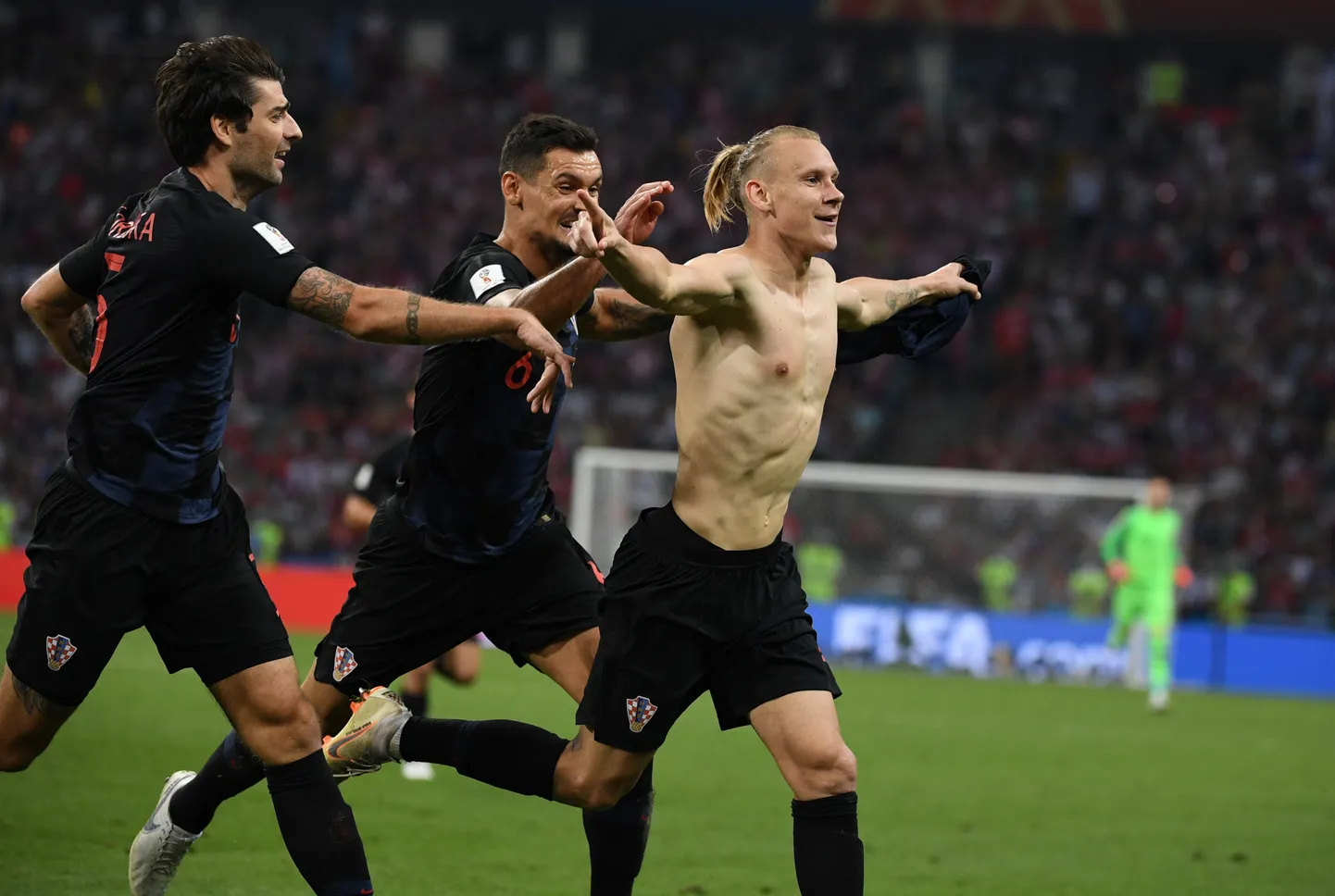 Domagoj Vida