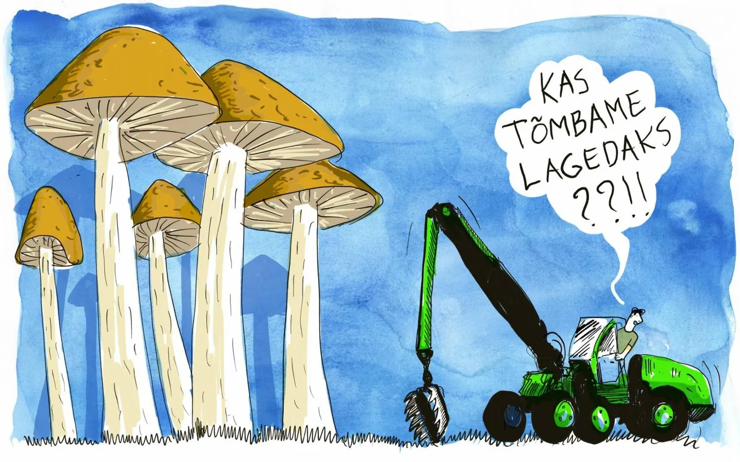 Tänavu on erakordselt hea seeneaasta.