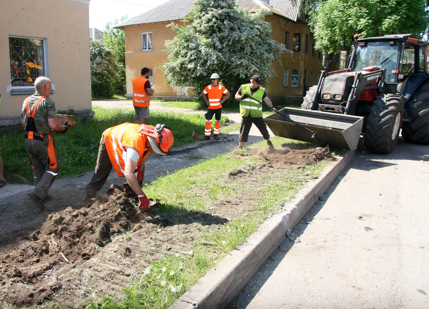 Pärast puude mahavõtmist eemaldati ka kännud; esmaspäeval minnakse asfaldi kallale.