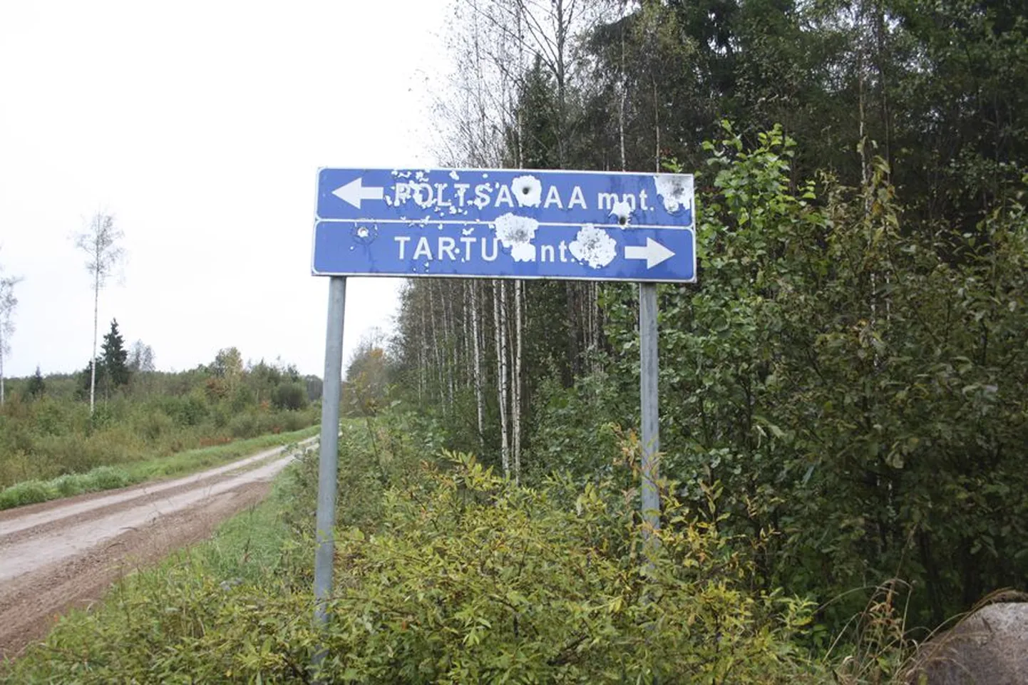Tänavu korda tehtud Puujala metsa teeristil seisev liiklusmärk on saanud tunda jahipüssi kuule ja haavleid.