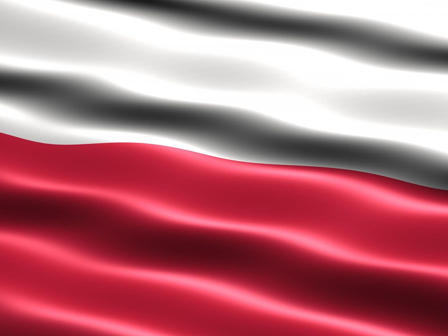 Poola lipp.