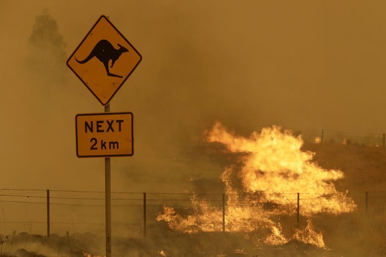 Austrālijas meža ugunsgrēks 2020. gada sākumā