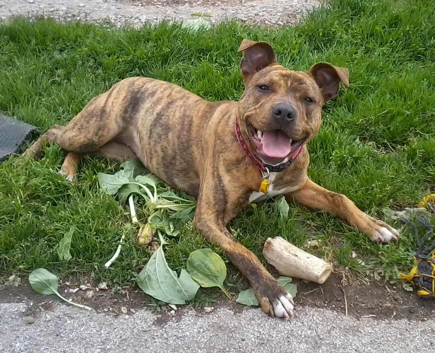 Freya.