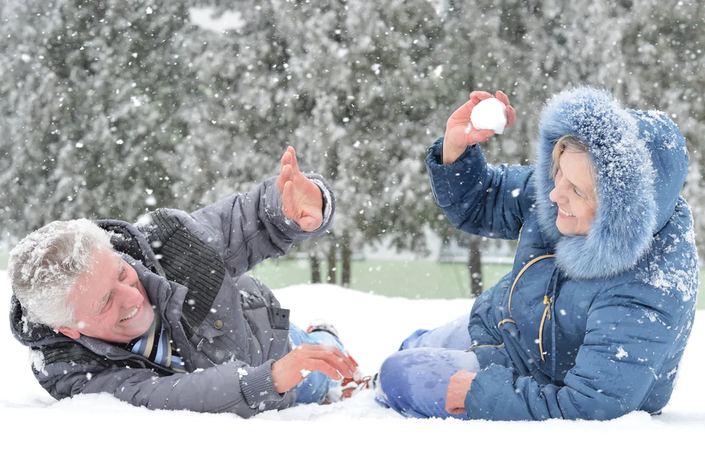 Artikli foto