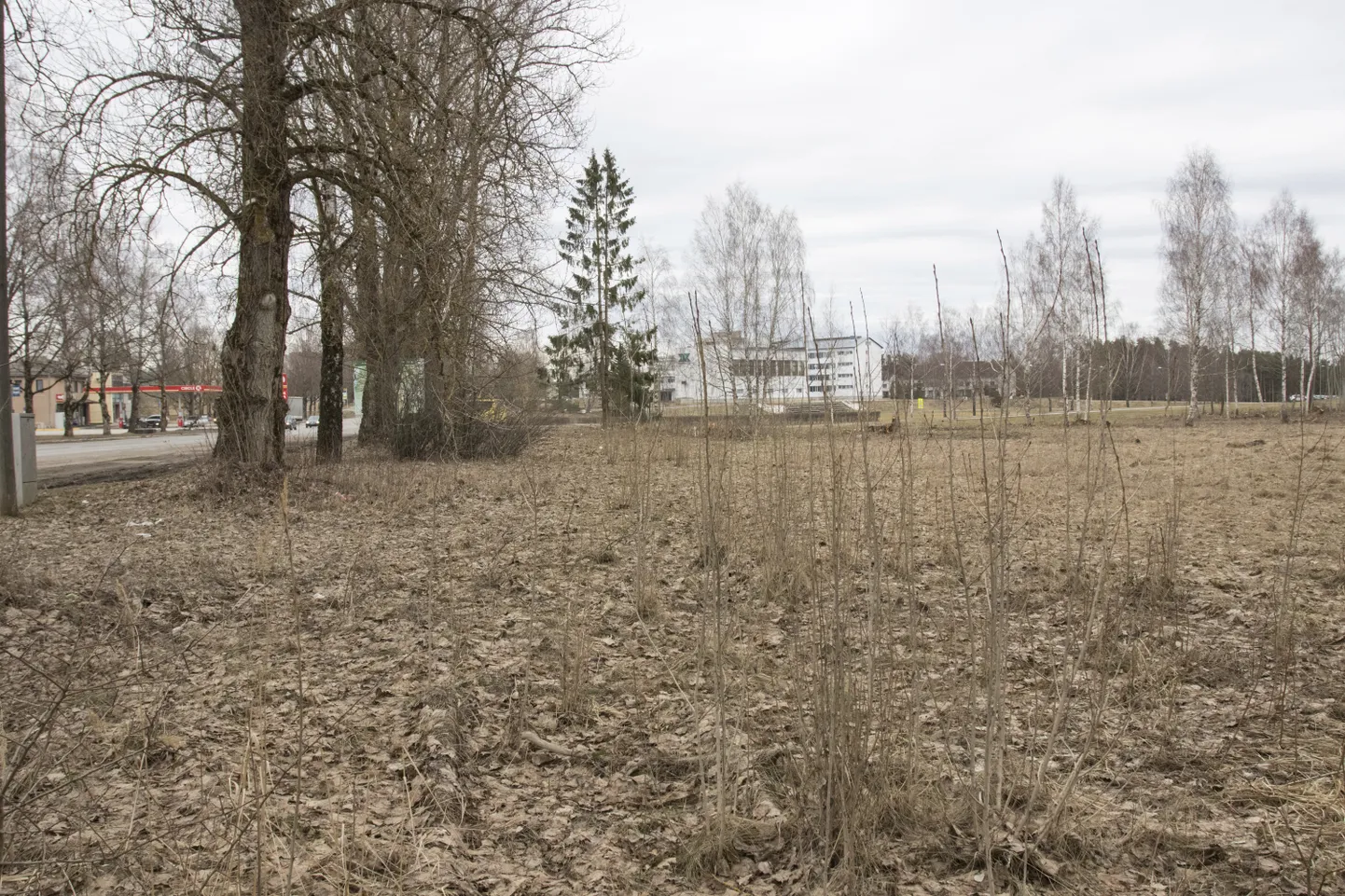 Riia maantee 99 asub Viljandi Jakobsoni kooli staadioni ja Järveotsa elurajooni kavandatavate eramukruntide vahel. Plaanide järgi peaks sinna ületulevaks aastaks kerkima nelja või viie korrusega äri- ja eluhoone. Hoonestusõiguse omanik soovib ehitusõigust saada veel teisegi samalaadse hoone rajamiseks.