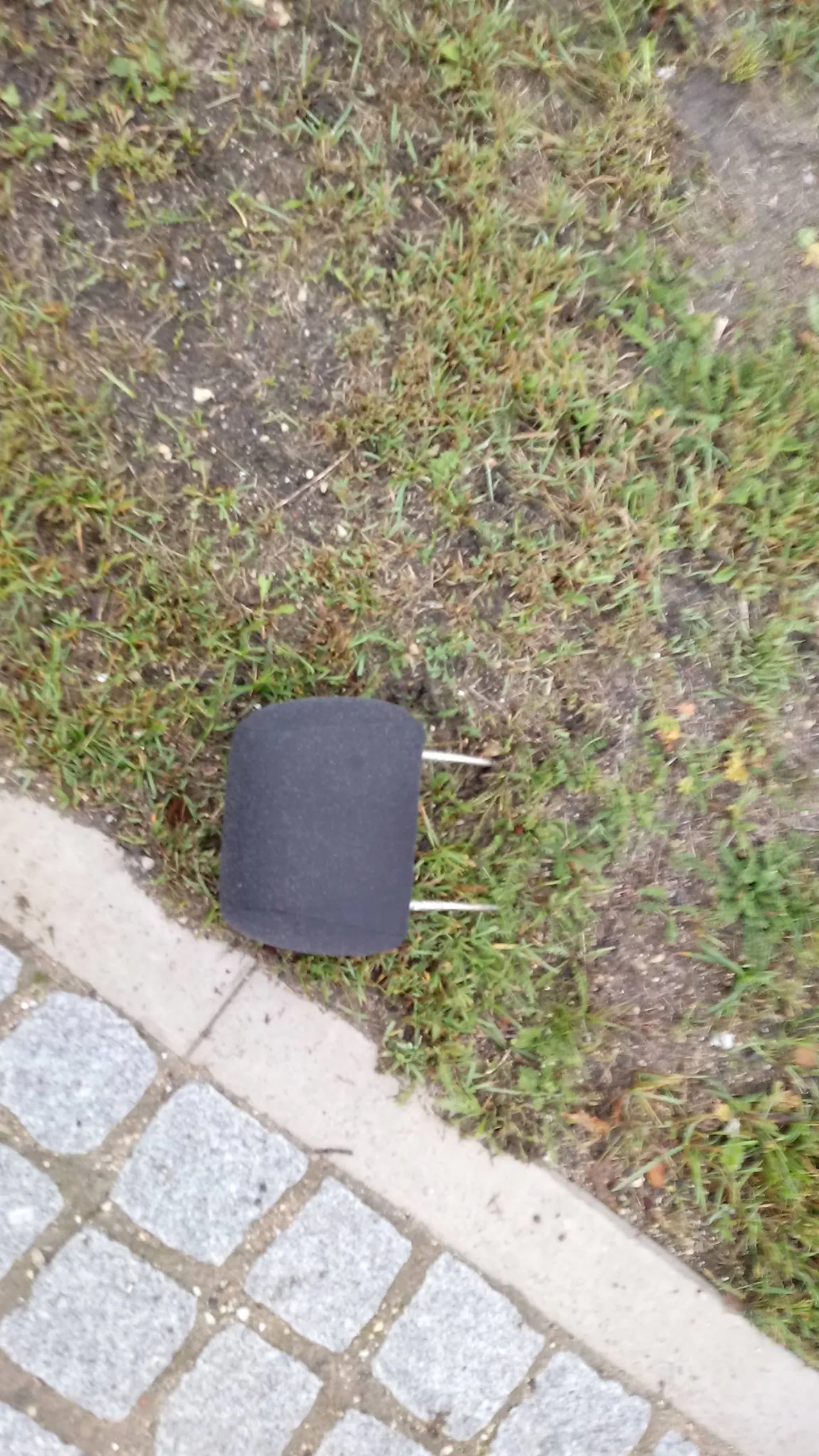 Artikli foto