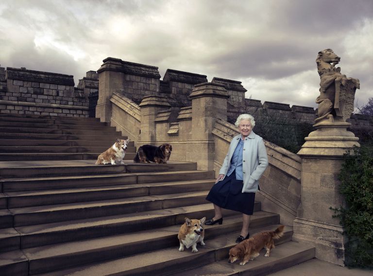 Elizabeth II oma koertega mõned aastad tagasi