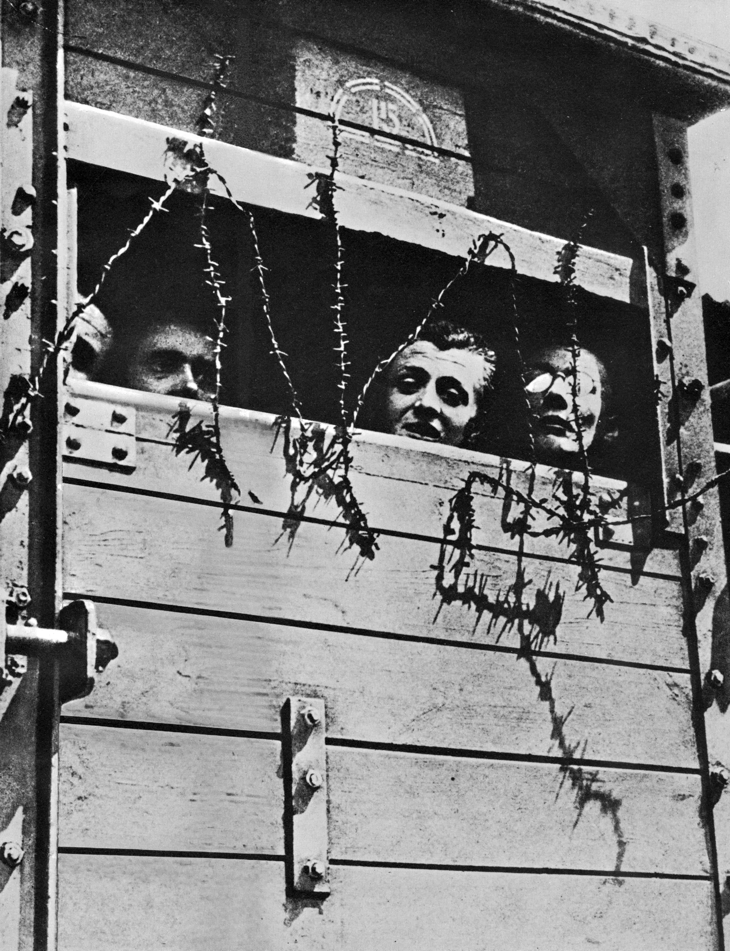 Juutidest ohvrid Teise maailmasõja ajal loomavagunites Auschwitzi koonduslaagrisse saabumas.
