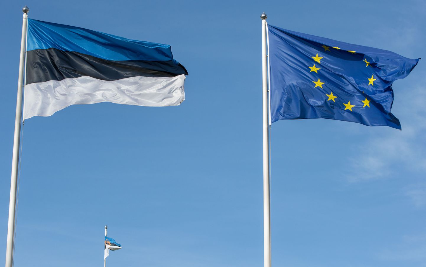 Флаг Эстонии и Евросоюза. Иллюстративное фото.
