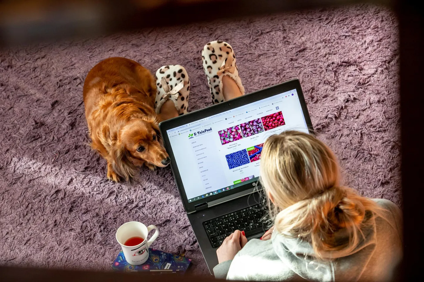 Eriline aeg muudab poeskäimise harjumusi. Otsige siis uudsel poodlemisretkel internetiavarustest üles ka meie talude e-poed.