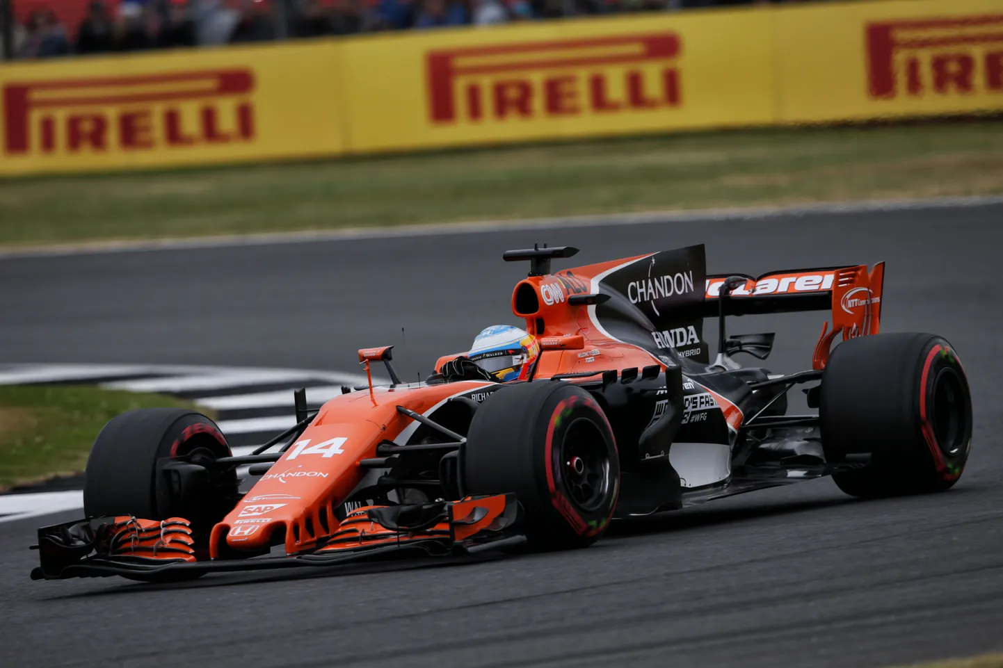 Fernando Alonso.