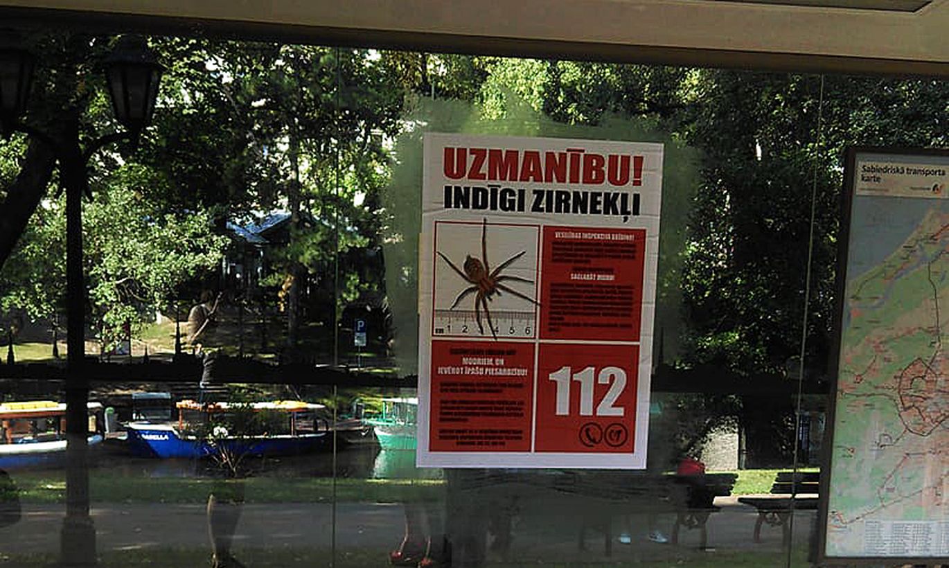 Apollo.lv Jaunakas Zinas