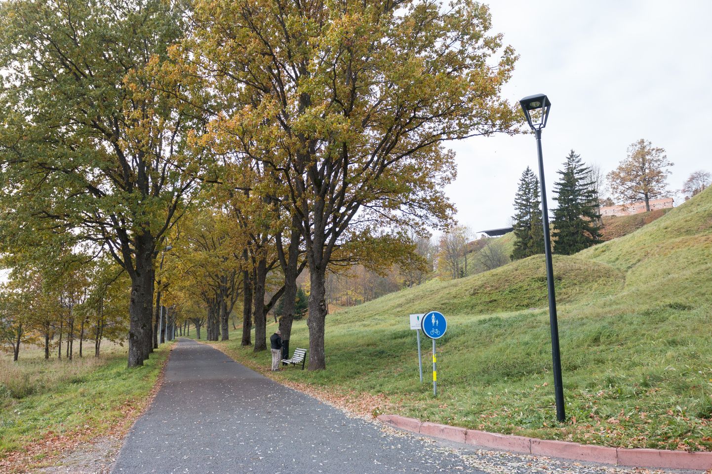 Viljandis Ranna puiesteel on Pikast tänavast Männimäe poole jääv lõik autodele sõitmiseks keelatud, aga just seal tabati BMW roolist 15-aastane noormees.