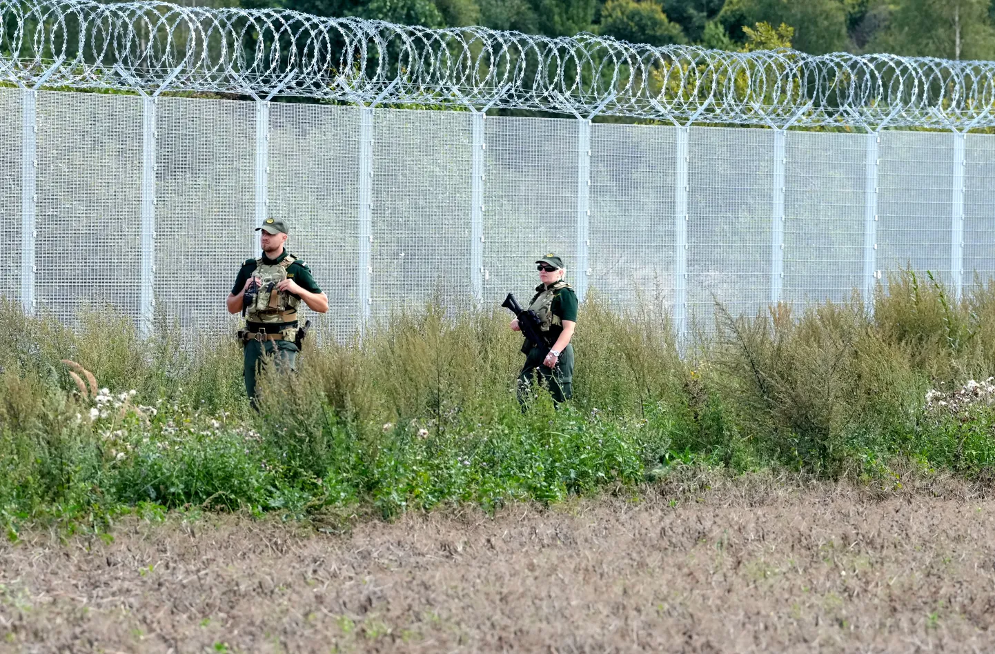 Raksta foto