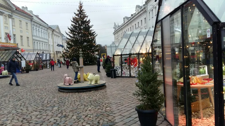 Valgusküla jõepoolses otsas on jõulukuusk.