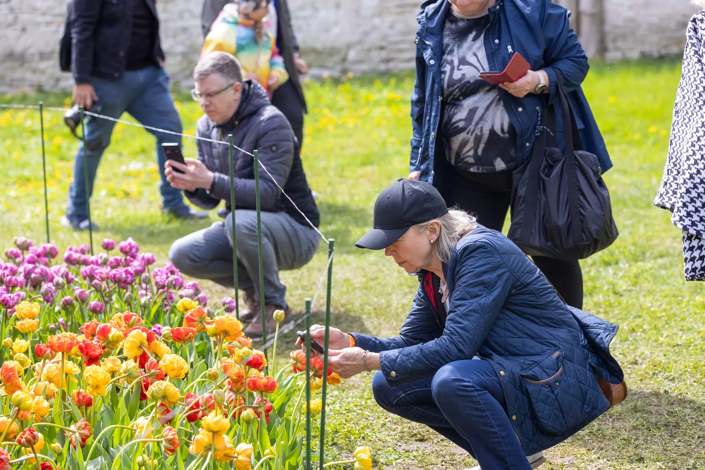 Käimasolev nädal toob endaga kaasa jahedust.