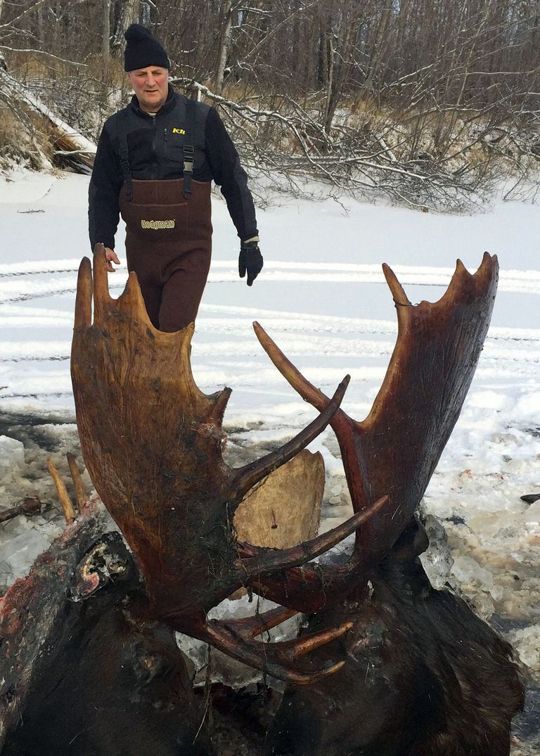 Alaskal Unalakeetis leiti kaks põtra järve jäätununa / Scanpix