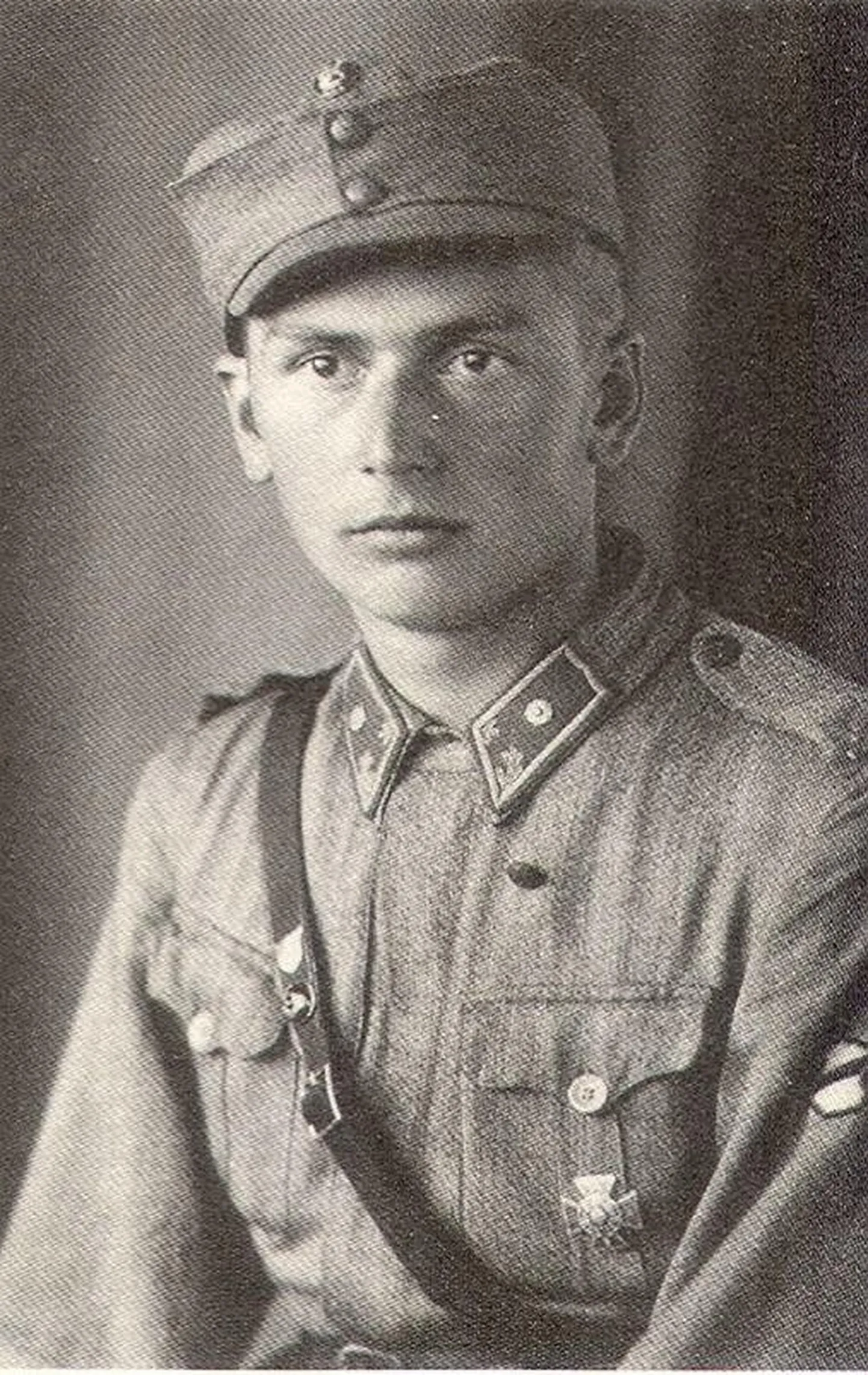 Arved Viirlaid