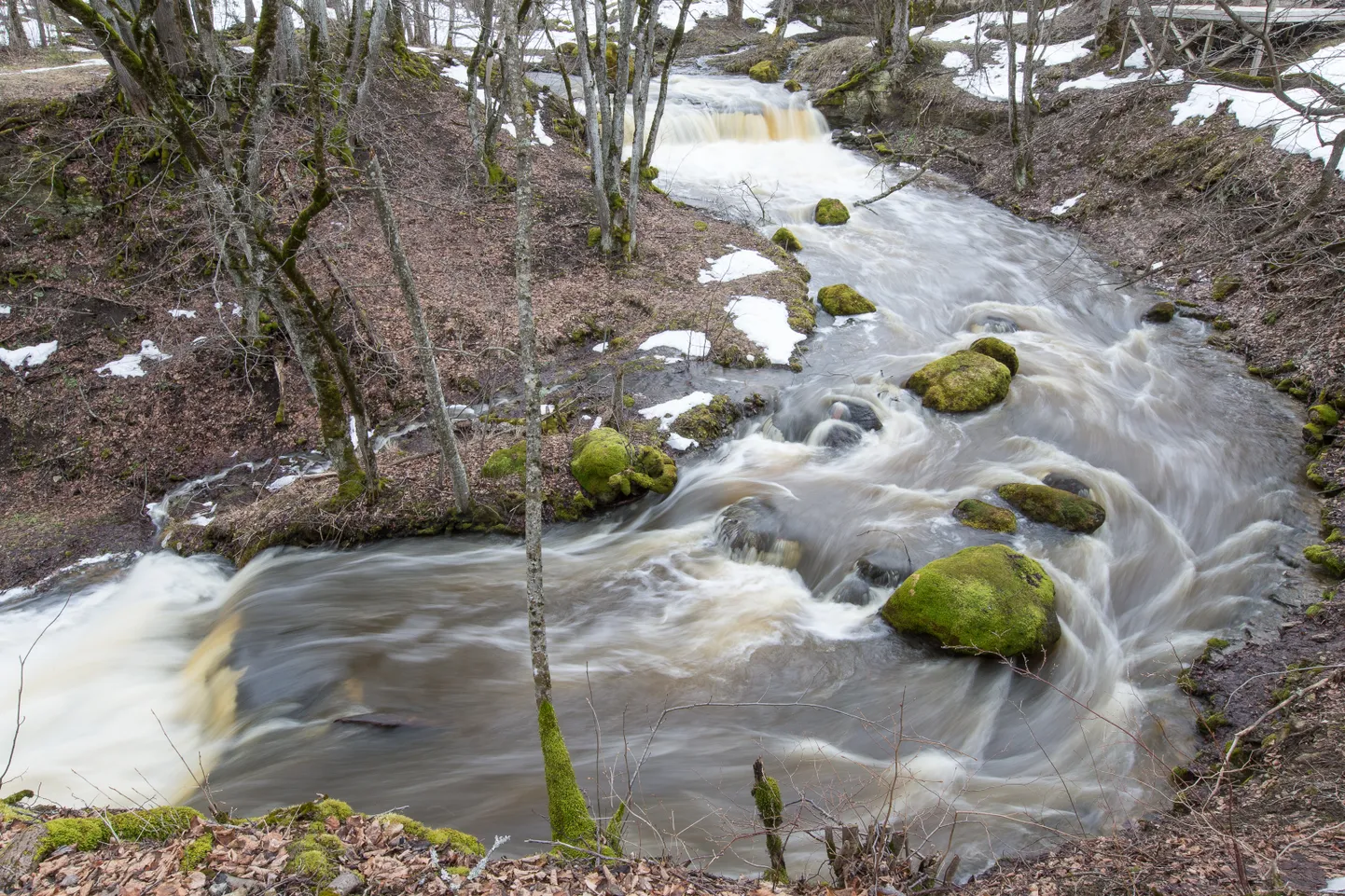Aluoja juga.