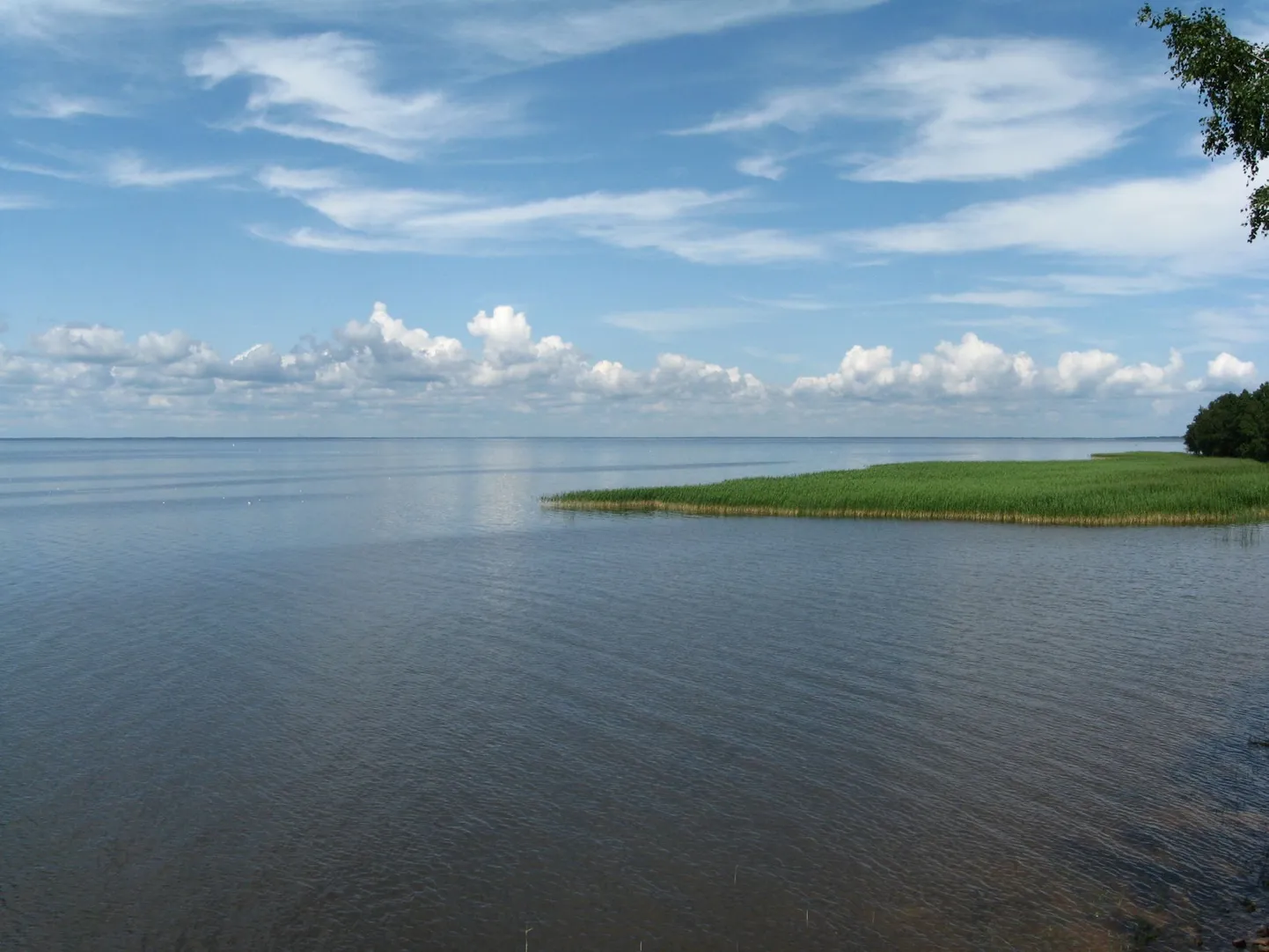 Võrtsjärv.