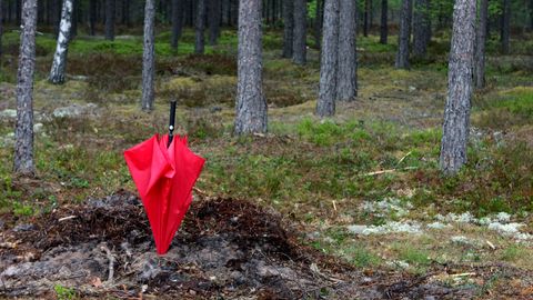 Jaunā nedēļa sāksies ar pavasarīgi patīkamu laiku, taču nedēļas otrajā pusē valdīs nepatīkams ciklons