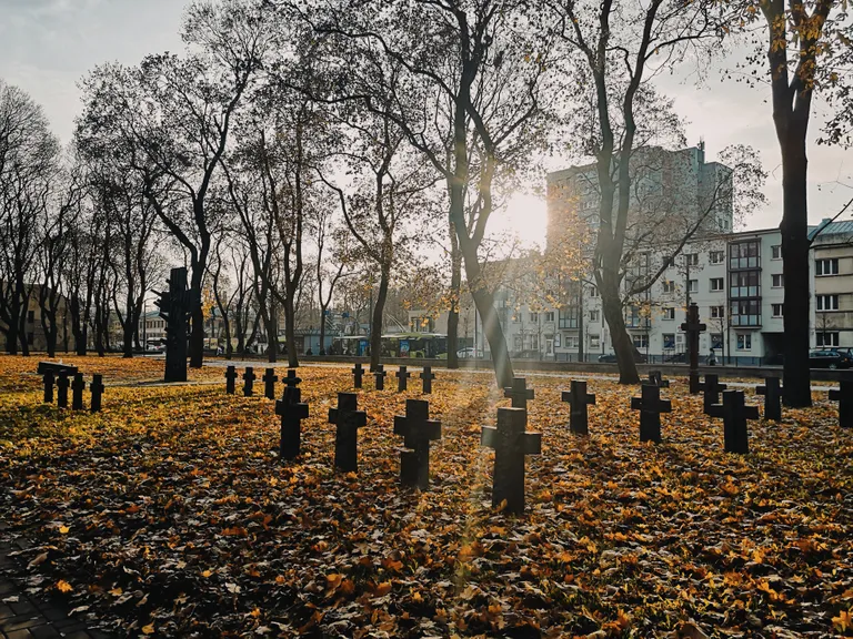 Фото статьи