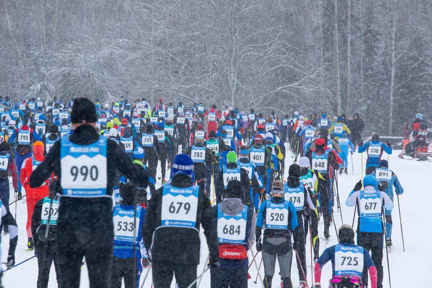 На Тартуский лыжный марафон зарегистрировалось более 5000 человек.