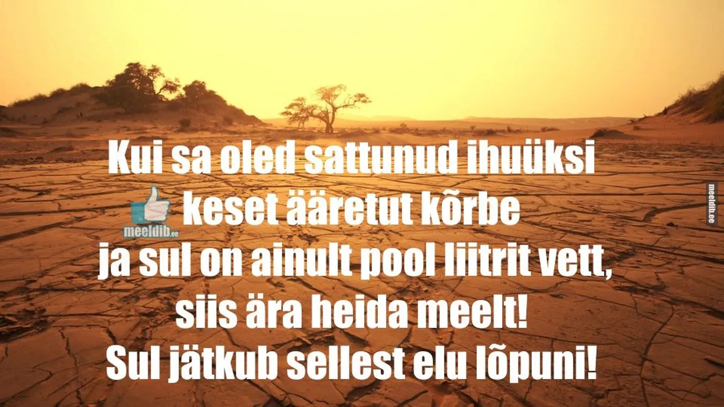 Artikli foto