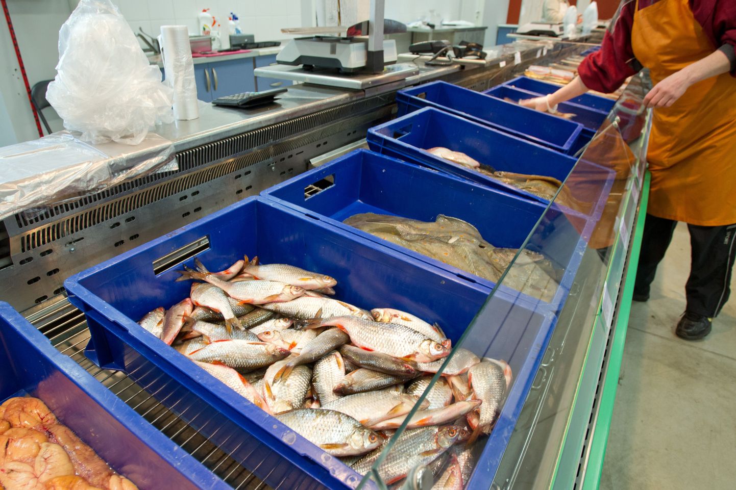 Lasnamäe turult saab värsket kala suures valikus.