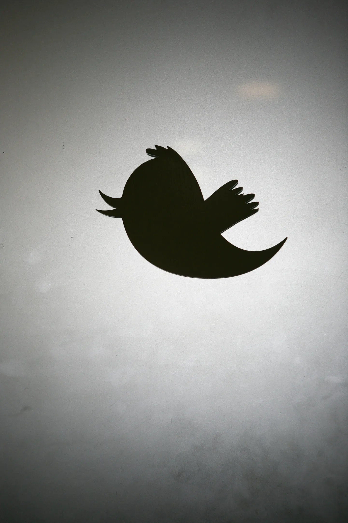 Twitteri logo.