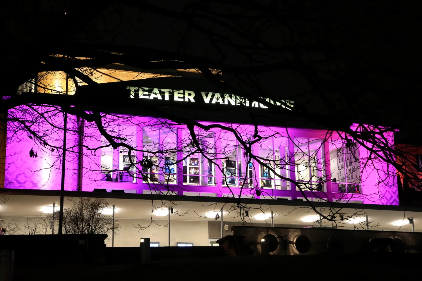 Vanemuine.