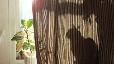 Näriliste tõrje maamajas algab õuest