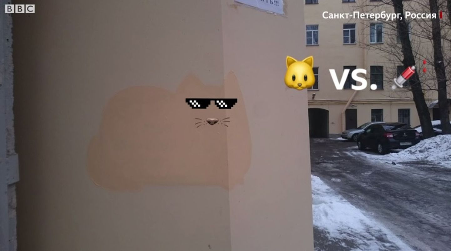 В Петербурге объявления о продаже наркотиков стали закрашивать силуэтом известной на весь интернет кошки по имени Пушин.