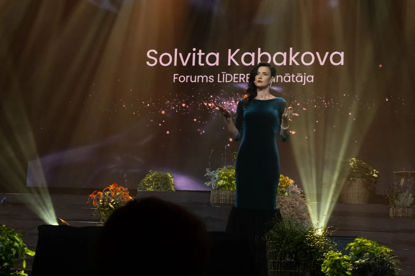 Raksta foto