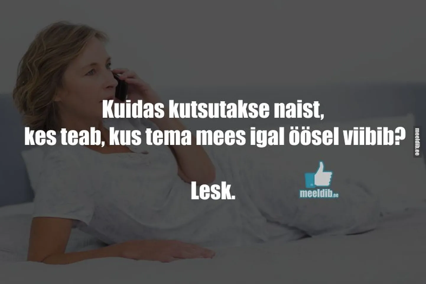 Artikli foto