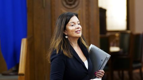 Pērn visus deputātes Petravičas ienākumus veidojis atalgojums Saeimā
