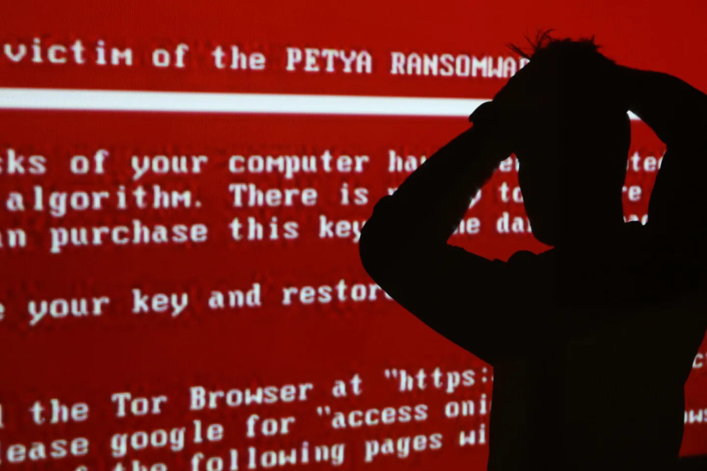 Petya lunavararünnak tegi sellel aastal ulatuslikku kahju üle maailma.