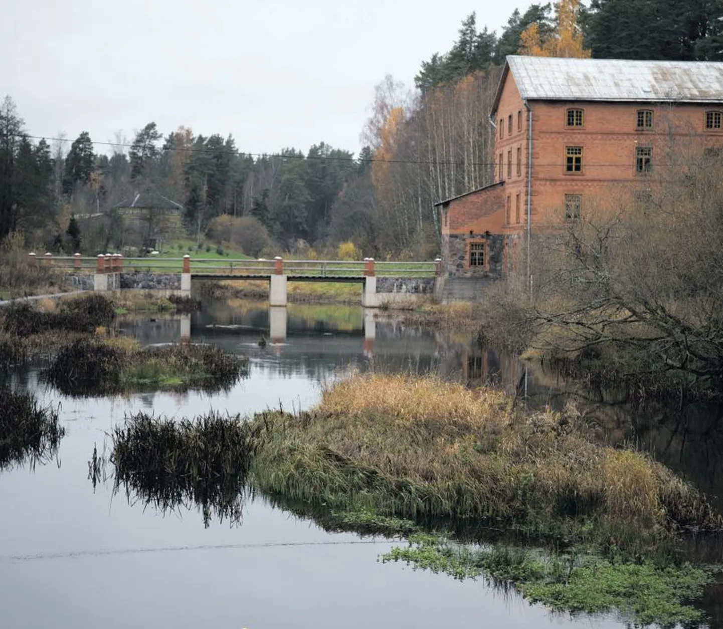 Hea näide omaniku ja looduskaitsjate koostööst on Põlvamaal Kiidjärvel, kus 2015. aastal likvideeriti senine pais ja puhastati jõesäng setetest. Ehitustööd läksid maksma 363 992 eurot ja neid rahastas Ühtekuuluvusfond.