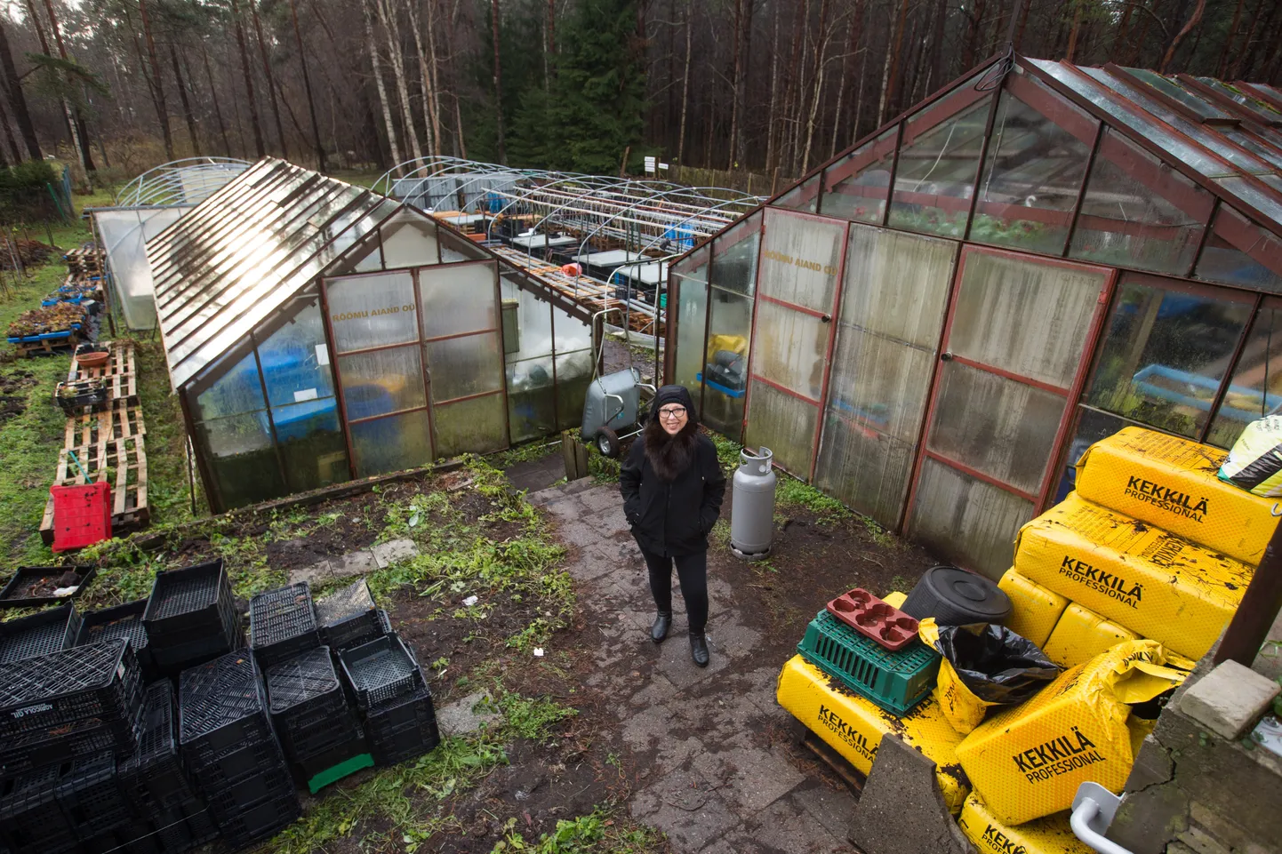 Olude sunnil ettevõtjaks hakanud endine ooperilaulja Kai Parmas tunneb muret tulumaksukorra muutuse üle, mistõttu on talle kasulikum kolmandasse sambasse kogunenud raha enne aastalõppu välja võtta.