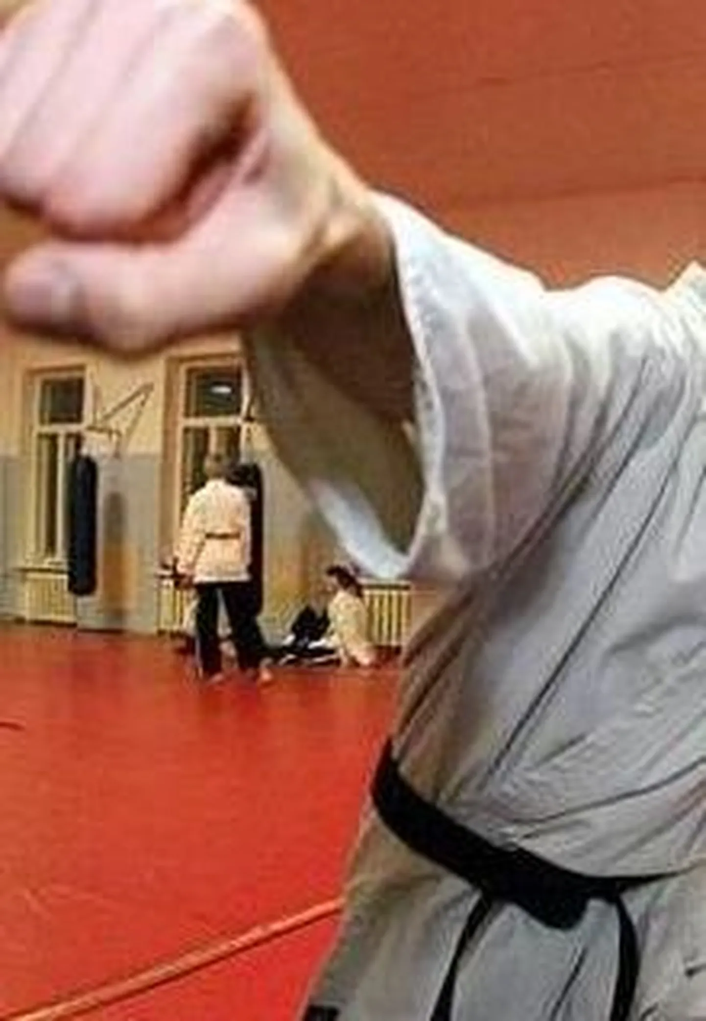 Vene karateka tappis täide tõttu kaks inimest