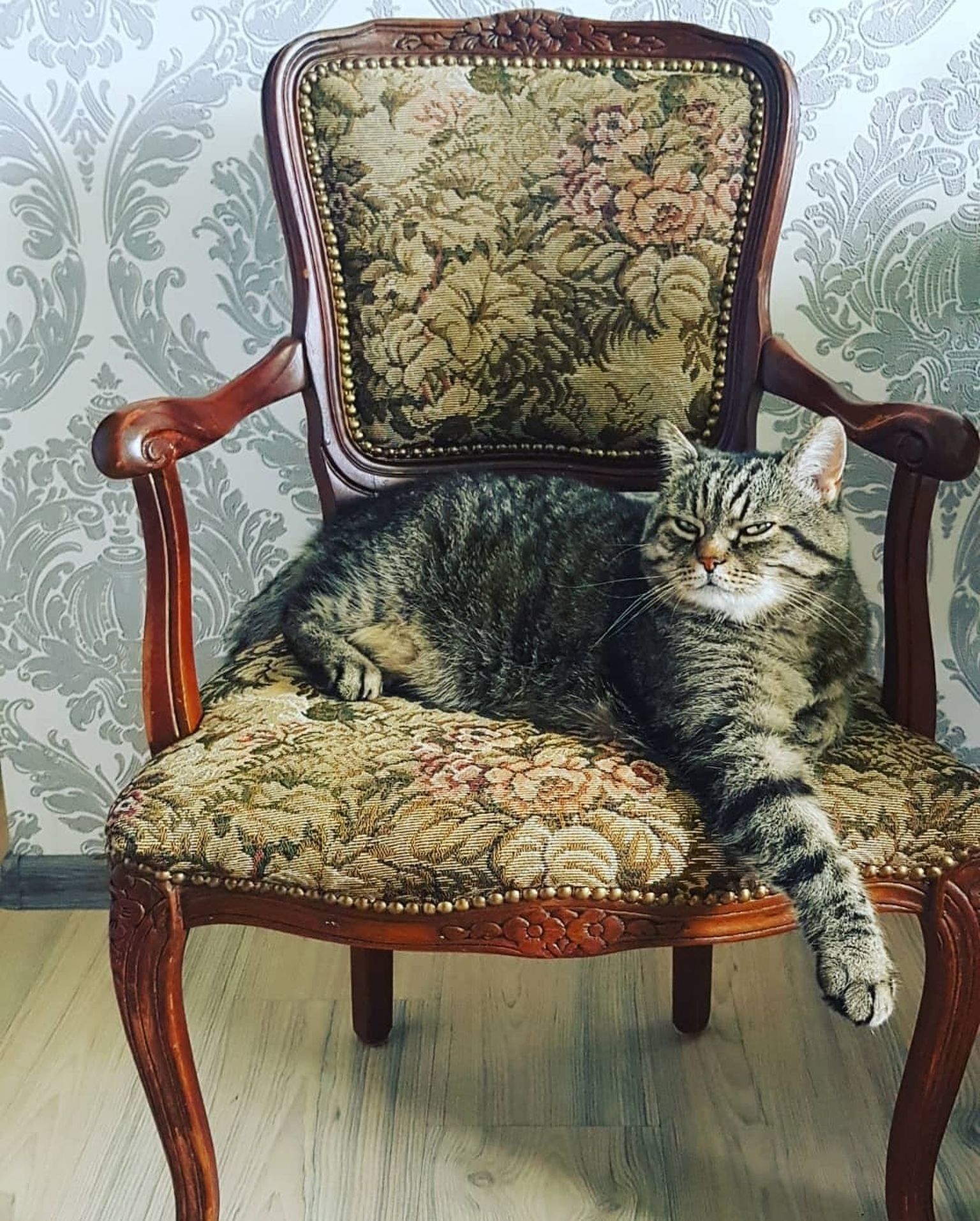 Miku oma antiiksel toolil.